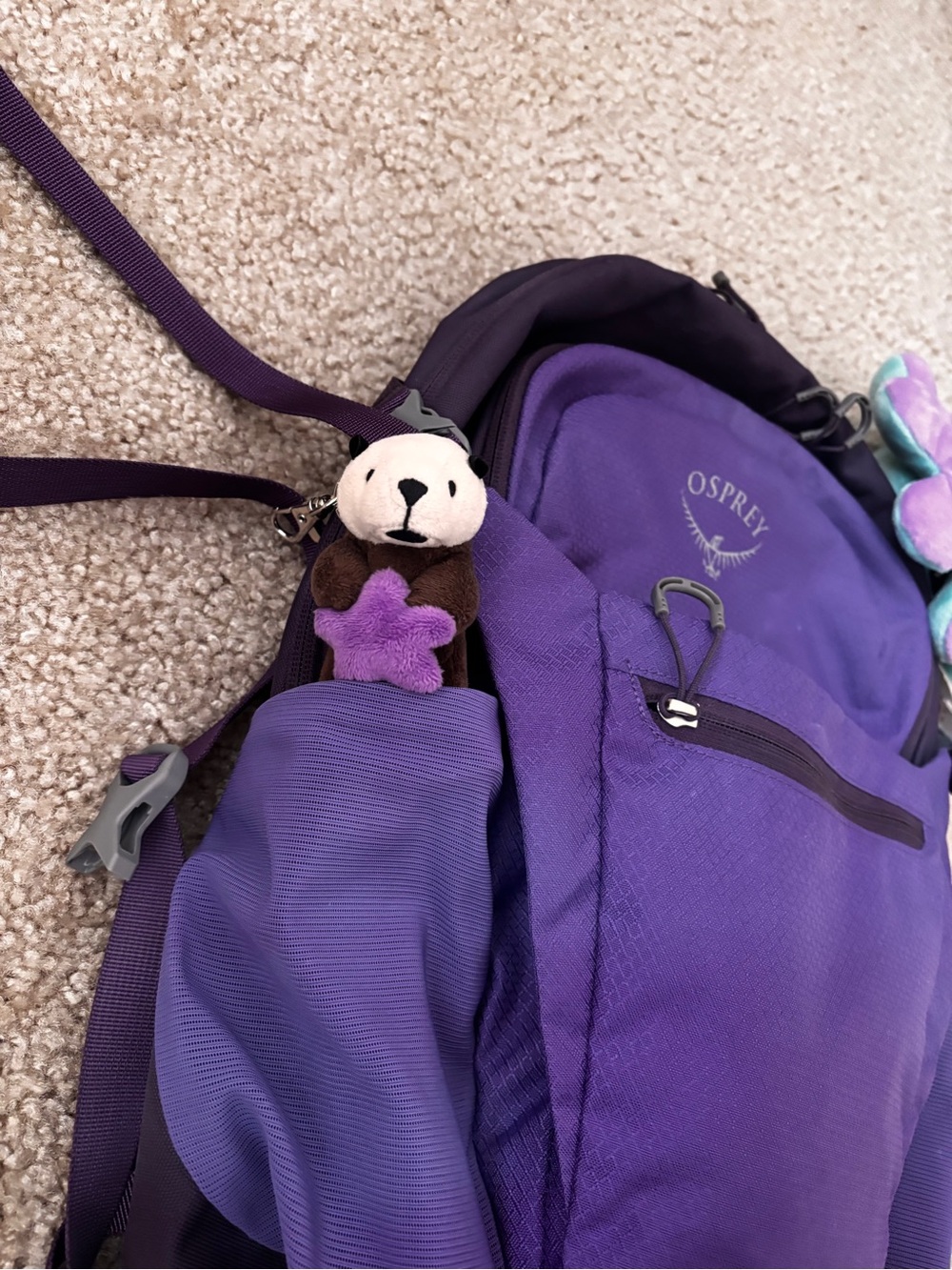 OSPREY Purple Daylite Plus Backpack - Picture 8 of 9